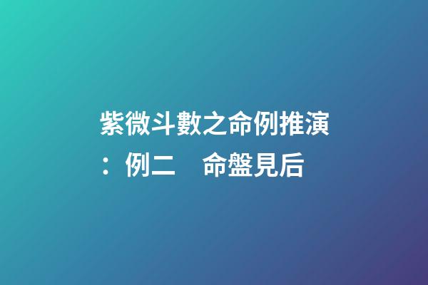 紫微斗數之命例推演：例二　命盤見后